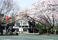 長篠城址の桜