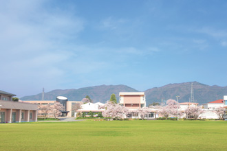 大学風景